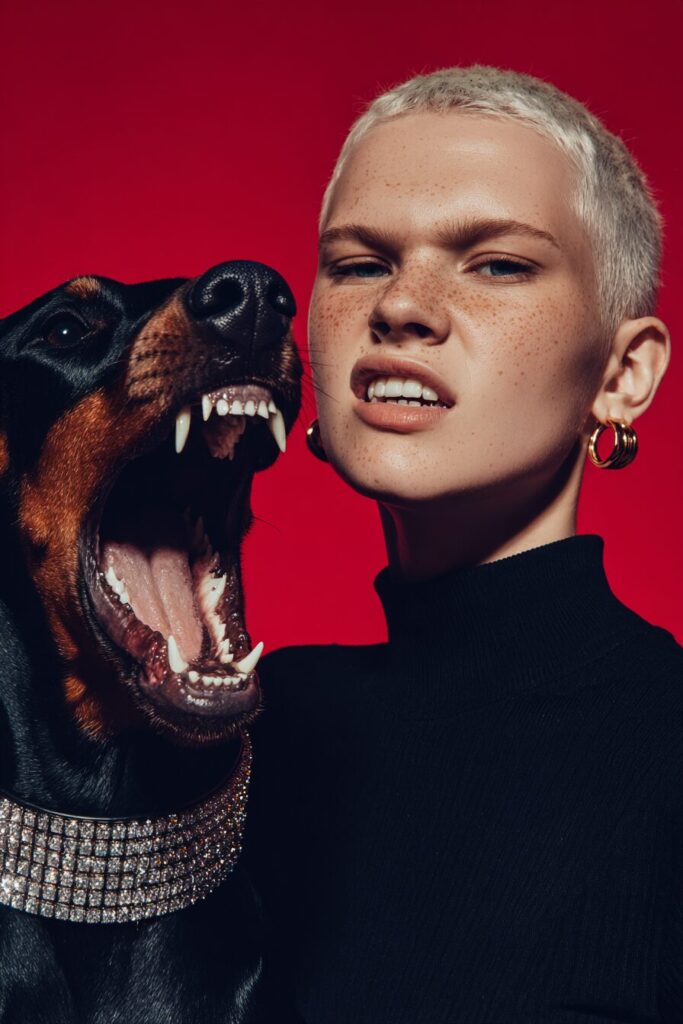 Kasabian - The Doberman